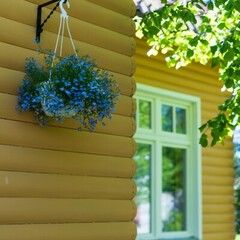 Эко-комплекс Вьюхово, Московская область