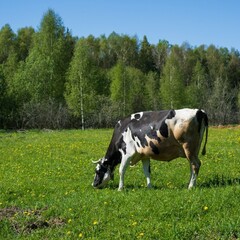 Эко-комплекс Вьюхово, Московская область