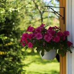 Эко-комплекс Вьюхово, Московская область