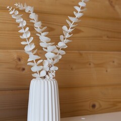 Эко-комплекс Вьюхово, Московская область