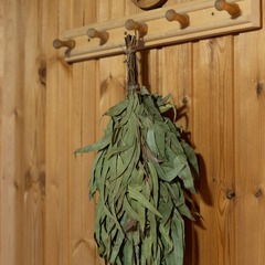 Эко-комплекс Вьюхово, Московская область