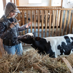 Эко-комплекс Вьюхово, Московская область