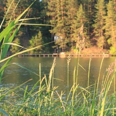 База отдыха Улово, Владимирская область