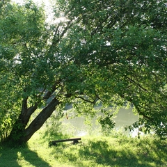 База отдыха Улово, Владимирская область