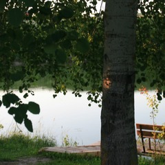 База отдыха Улово, Владимирская область