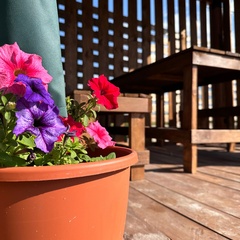 Эко-комплекс Ачикуль, Курганская область