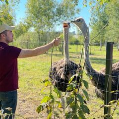 Эко-отель Болото, Всеволожский район, Ленинградская область