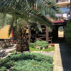 Гостевой дом Эр Эм, Сочи, Краснодарский край