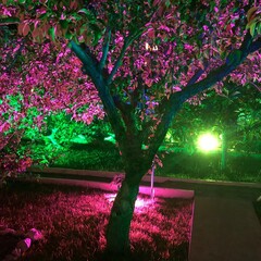 Гостевой дом Эр Эм, Сочи, Краснодарский край