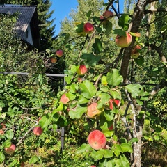 База отдыха Куба, Ивановская область