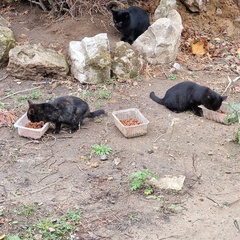 База отдыха Куба, Ивановская область