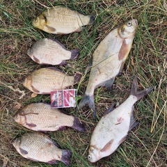 База отдыха Куба, Ивановская область