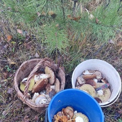 База отдыха Куба, Ивановская область