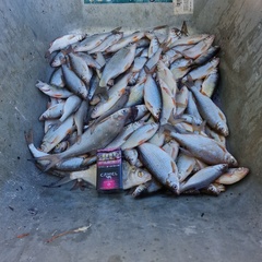 База отдыха Куба, Ивановская область