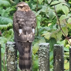 База отдыха Куба, Ивановская область
