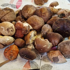 База отдыха Куба, Ивановская область