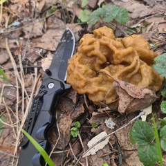 База отдыха Куба, Ивановская область