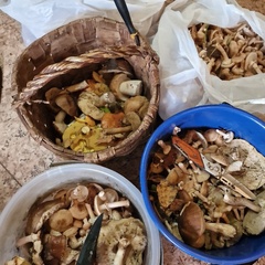 База отдыха Куба, Ивановская область