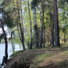 База отдыха Куба, Ивановская область