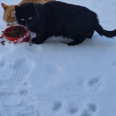 База отдыха Куба, Ивановская область