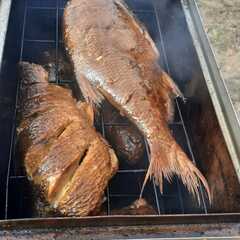 База отдыха Дыхание Волги, Астраханская область