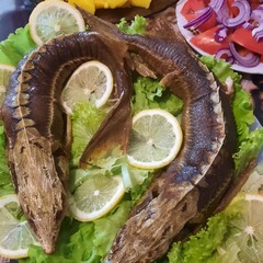 База отдыха Дыхание Волги, Астраханская область