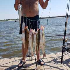 База отдыха Дыхание Волги, Астраханская область