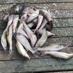 Рыболовно-охотничья база Тритон, Астраханская область