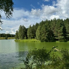 Глэмпинг Южные озера, Московская область