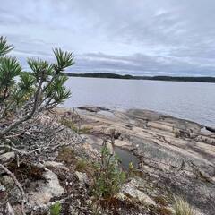 База отдыха Чё, по шхерам?, Республика Карелия