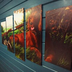 База отдыха Чё, по шхерам?, Республика Карелия