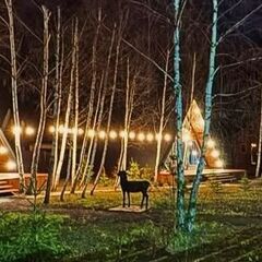 Глэмпинг Forest Glamp Uvarovo, Московская область