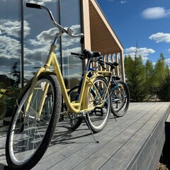 База отдыха Garnet Holiday Green Forest, Московская область