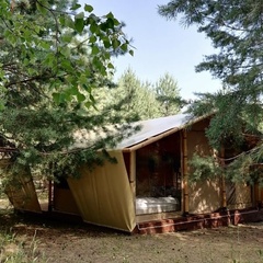 Глэмпинг Alpen Camp, Самарская область