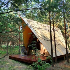 Глэмпинг Alpen Camp, Самарская область