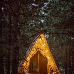 Глэмпинг Alpen Camp, Самарская область