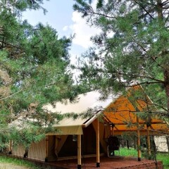 Глэмпинг Alpen Camp, Самарская область