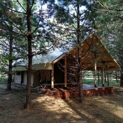 Глэмпинг Alpen Camp, Самарская область