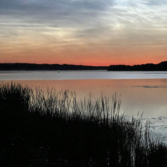 Глэмпинг Стрелка, Тверская область