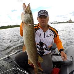 Глэмпинг Стрелка, Тверская область