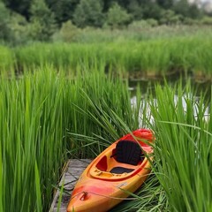 Глэмпинг Стрелка, Тверская область