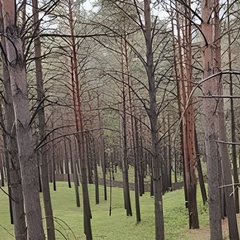 База отдыха База отдыха Маяк, Красноярский край