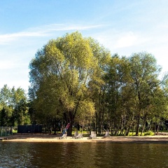 База отдыха и рыбалки Aura Glamp, Московская область