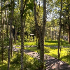 База отдыха и рыбалки Aura Glamp, Московская область