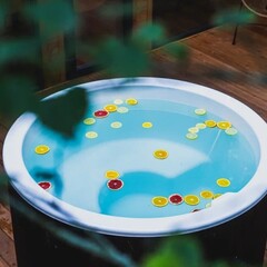 База отдыха Velho, Владимирская область