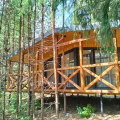 Глэмпинг Илеть, Республика Марий Эл