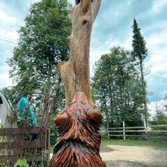 Глэмпинг Илеть, Республика Марий Эл