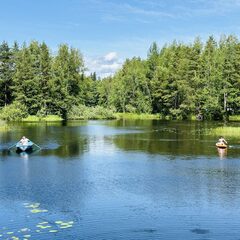 База отдыха Озерное , Ленинградская область