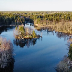 База отдыха Озерное , Ленинградская область