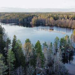 База отдыха Озерное , Ленинградская область